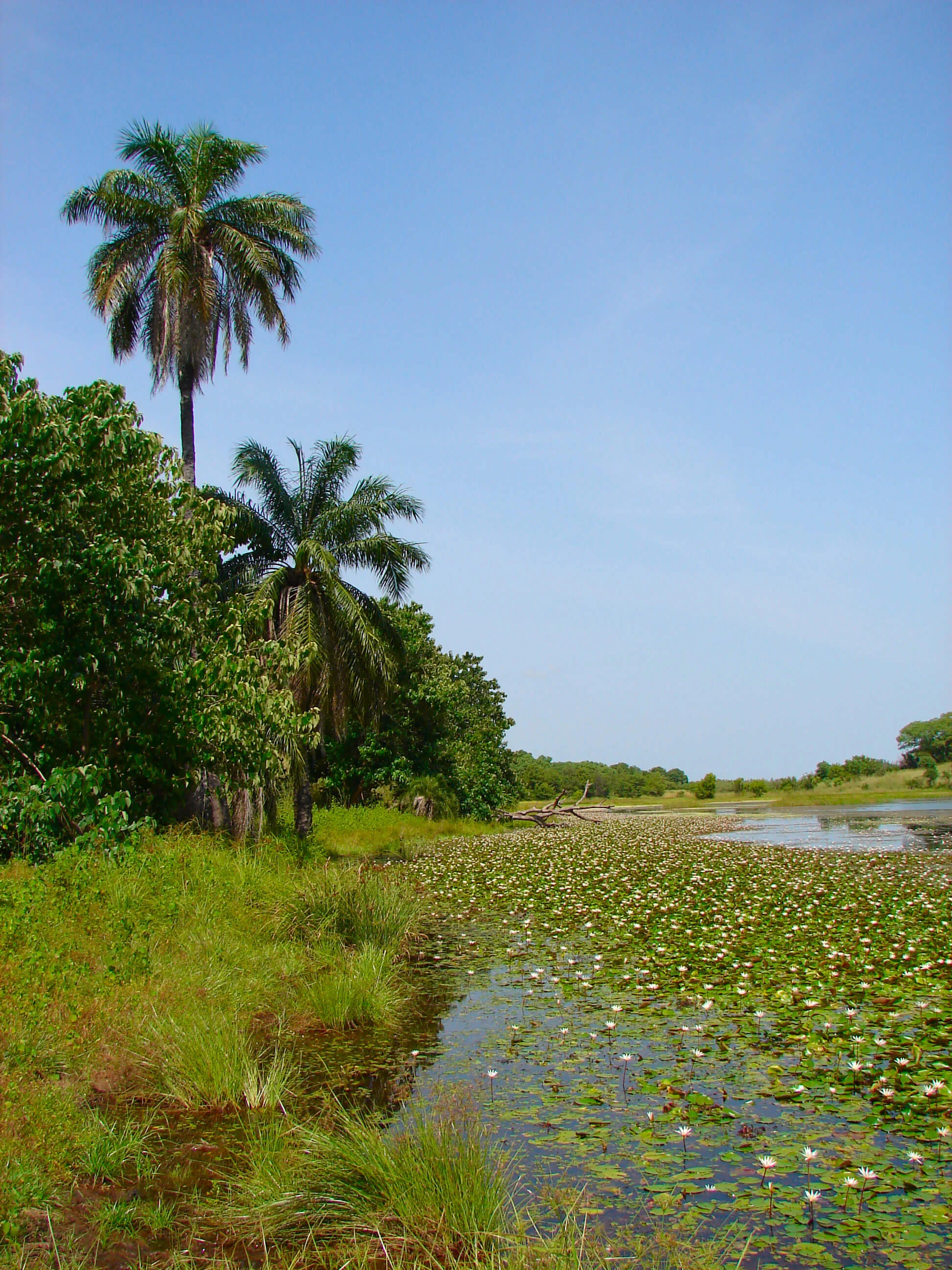 Parc national de Kiang Ouest, Gambie