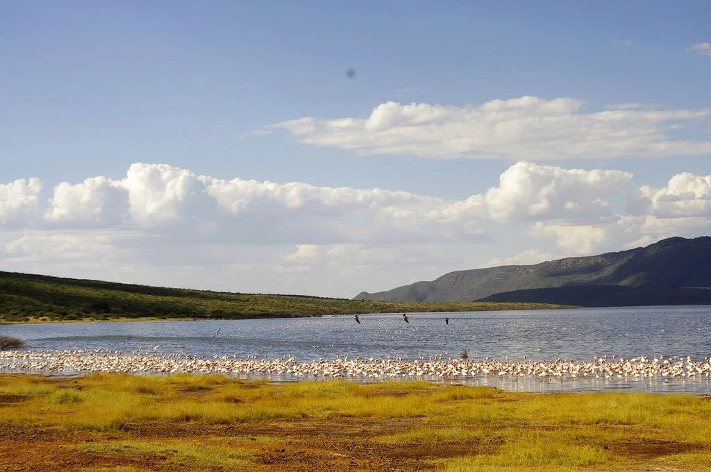 Lac Bogoria, Kenya