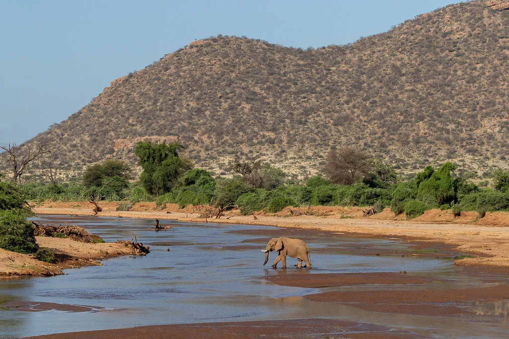 Réserve National de Samburu, Kenya