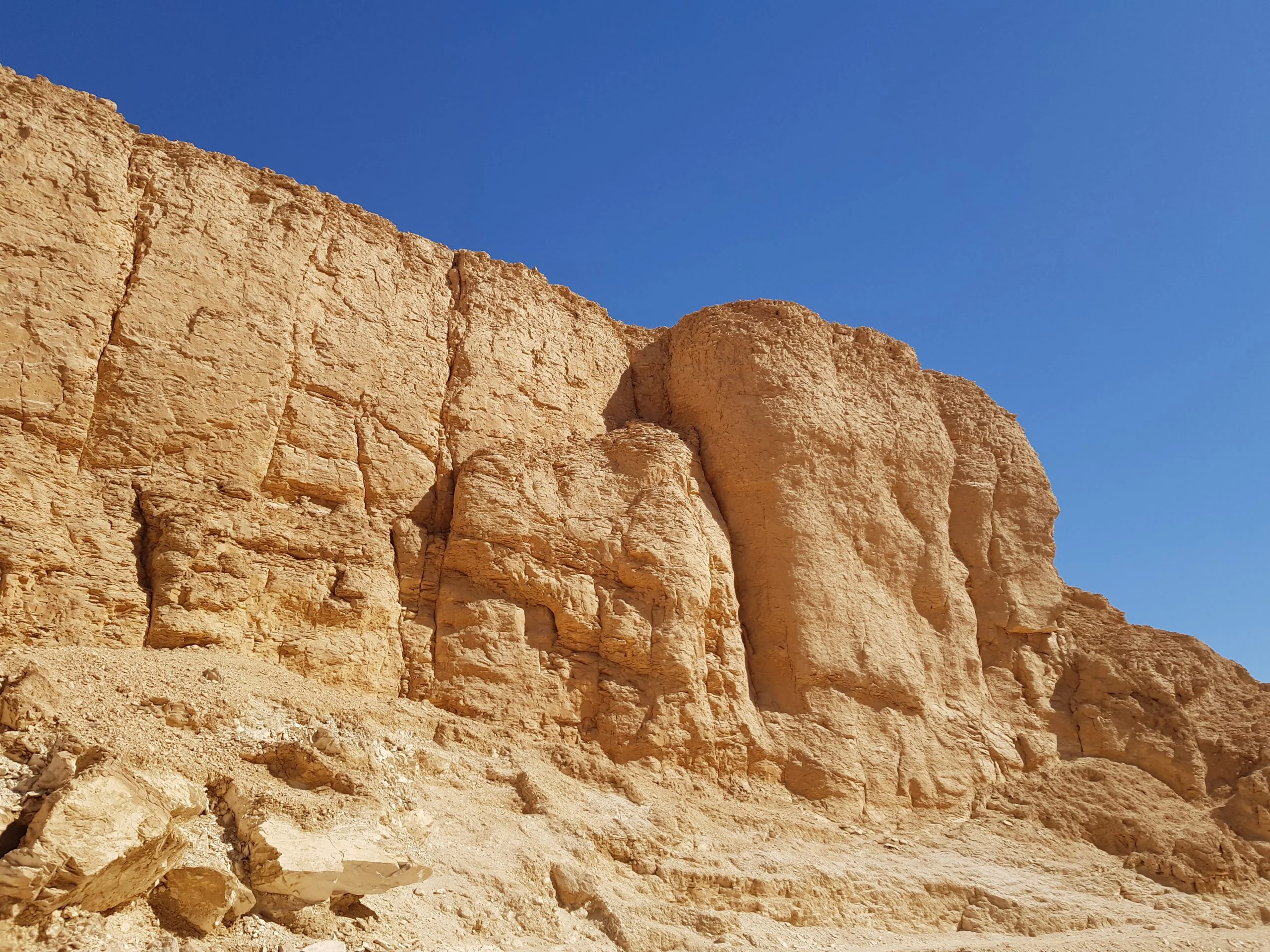 Vallée des Singes (Égypte), Égypte