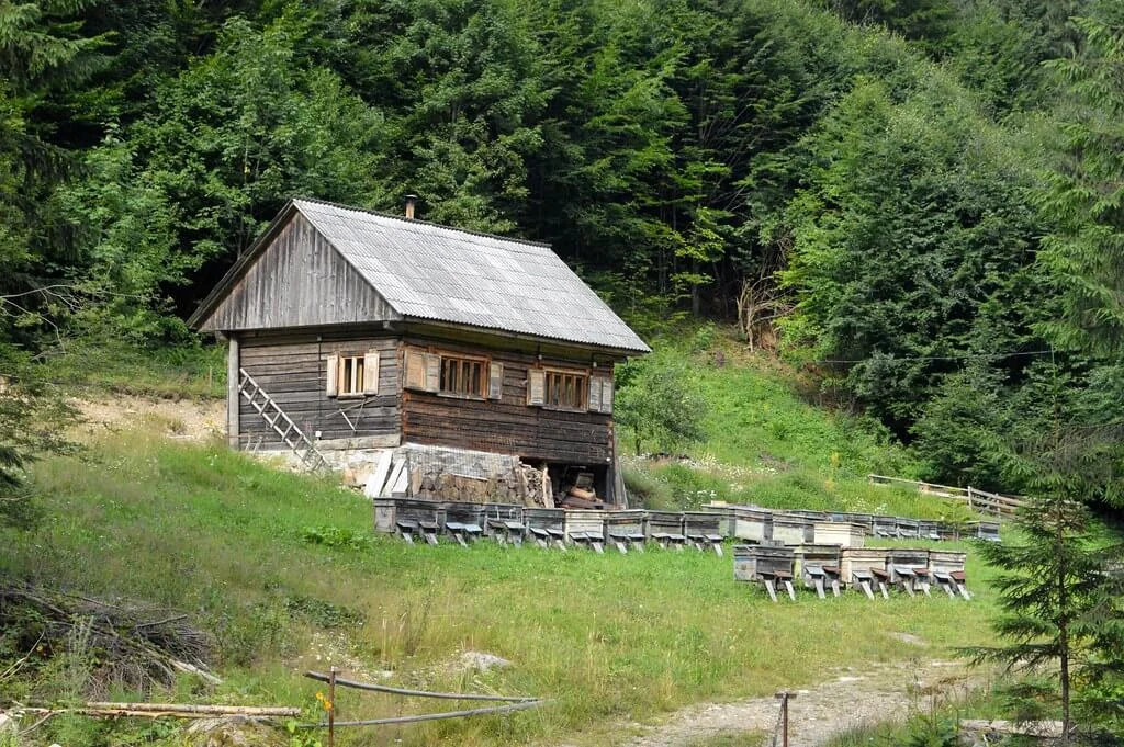 Parc naturel Apuseni, Roumanie