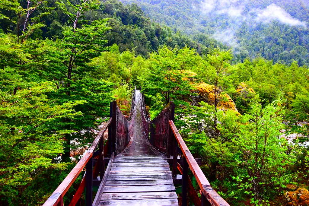 Parc National Queulat, Chili