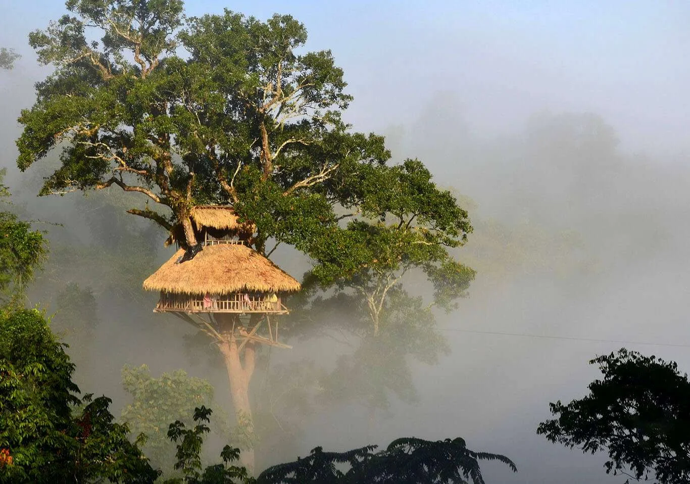 Réserve naturelle de Bokeo, Laos