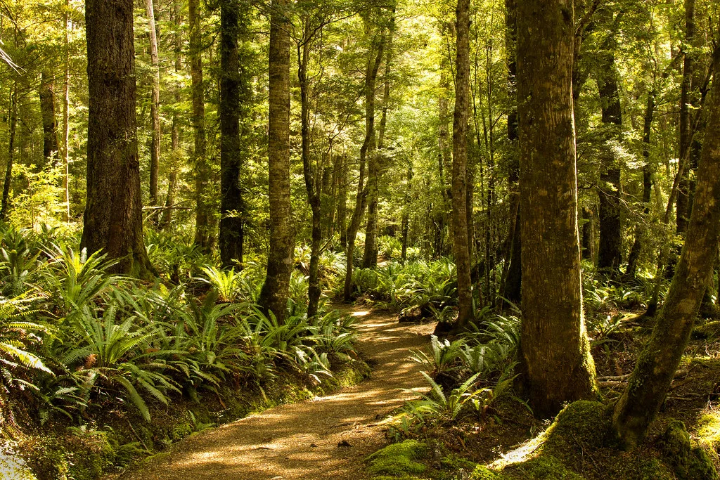 Kepler Track, Nouvelle-Zélande