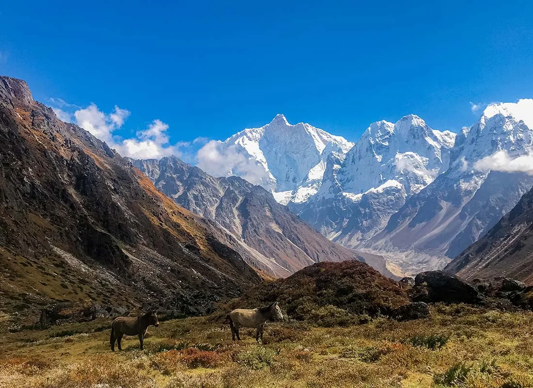 Kangchenjunga, Népal, Inde