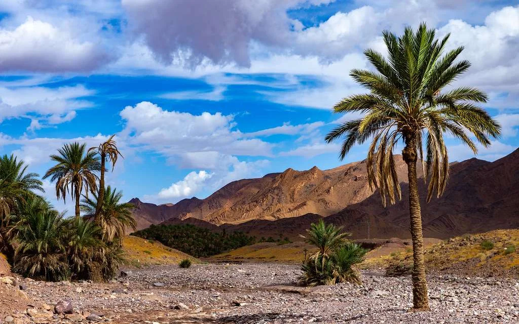 Anti-Atlas, Maroc, Maroc, Maroc