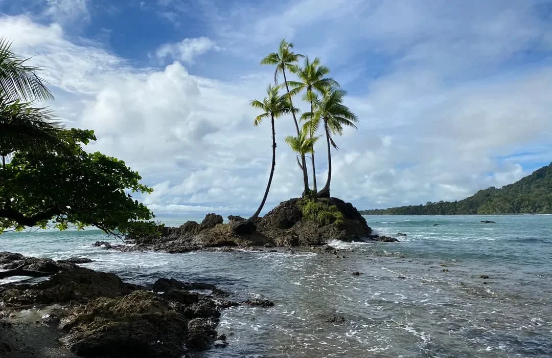 Randonnée de La Leona à La Sirena, Costa Rica