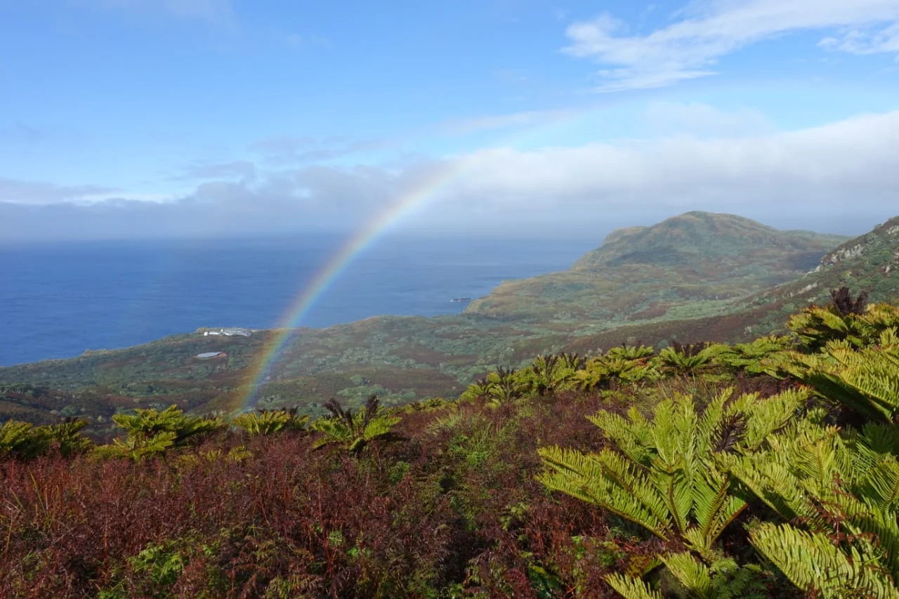 Île Gough, Sainte-Hélène / Ascension / Tristan da Cunha