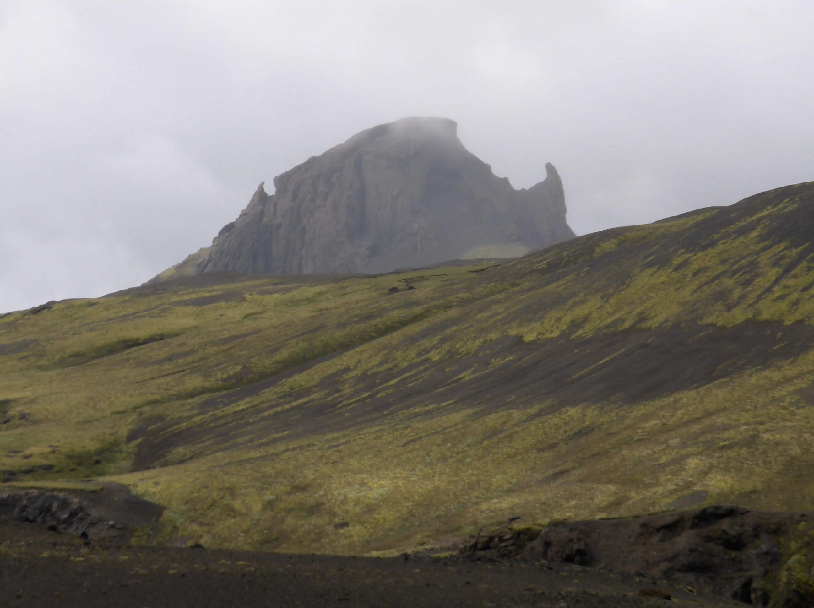 Einhyrningur, Islande