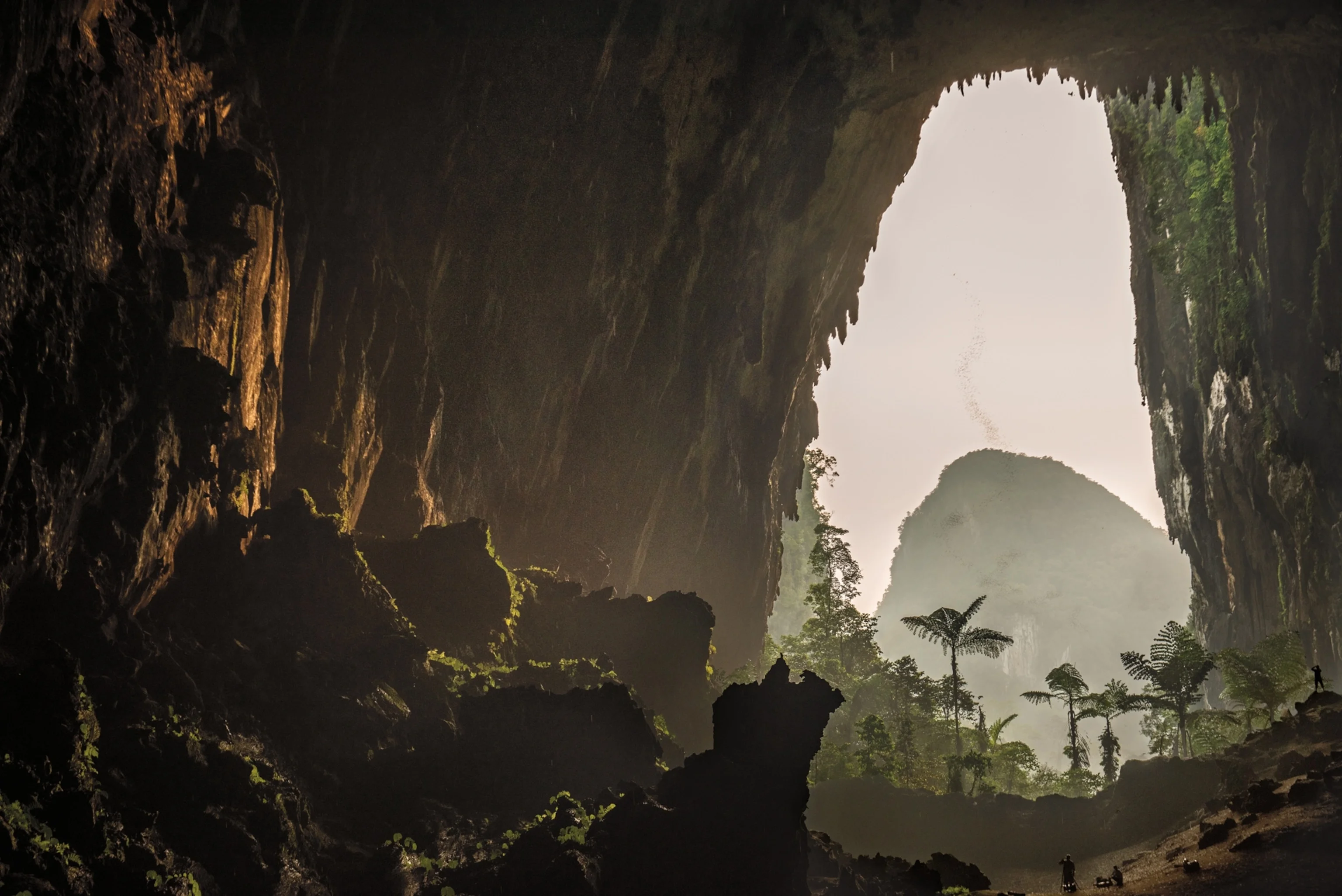 Caverne du cerf, Malaisie