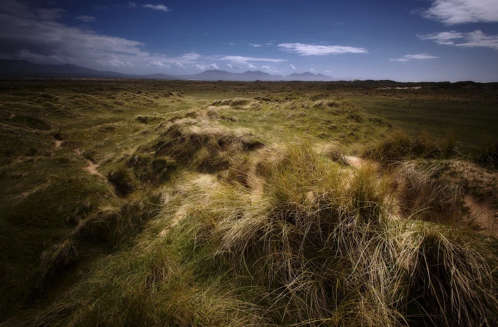 Newborough Warren, Pays de Galles