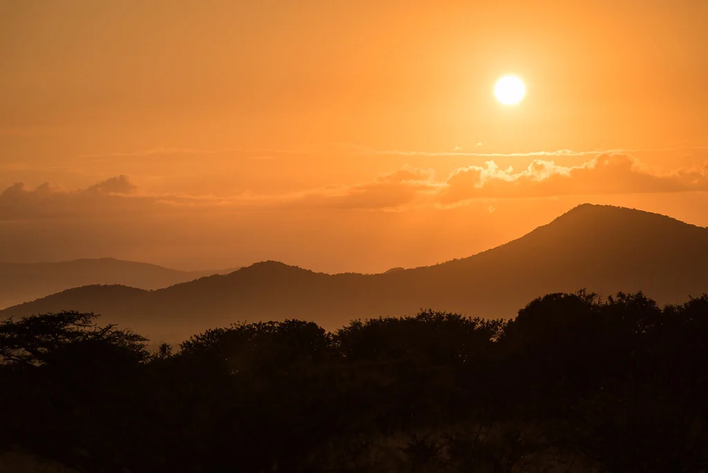 Thanda Private Game Reserve, Afrique du Sud