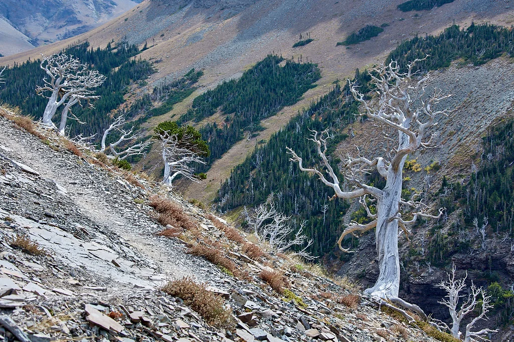 Scenic Point, États-Unis
