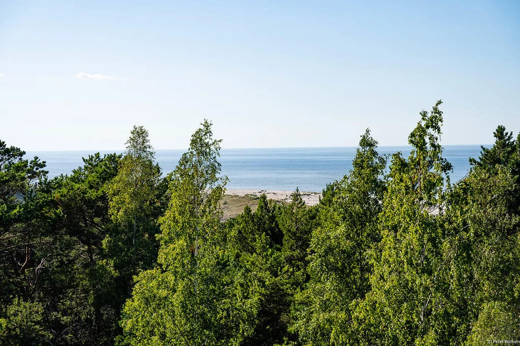 Gotska Sandön, Suède
