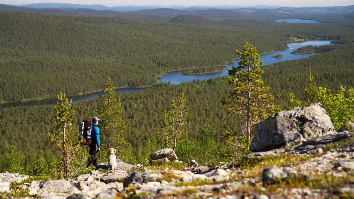 Parc national de Lemmenjoki, Finlande