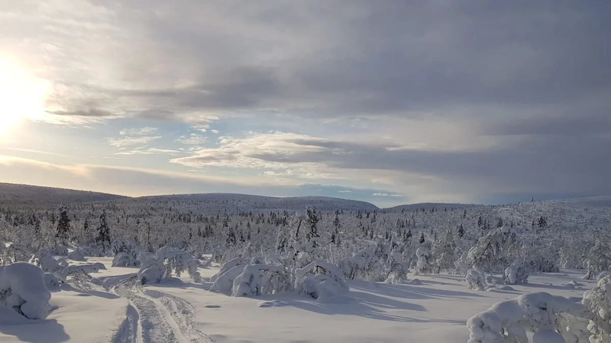 Parc national de Lemmenjoki, Finlande