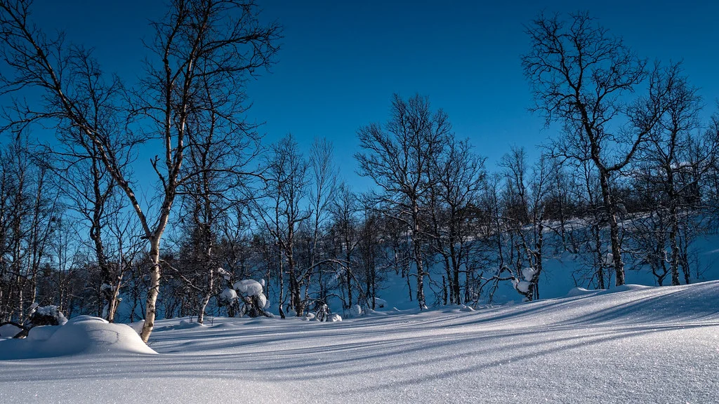 Parc national de Lemmenjoki, Finlande