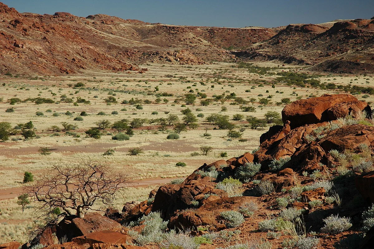 Twyfelfontein, Namibie