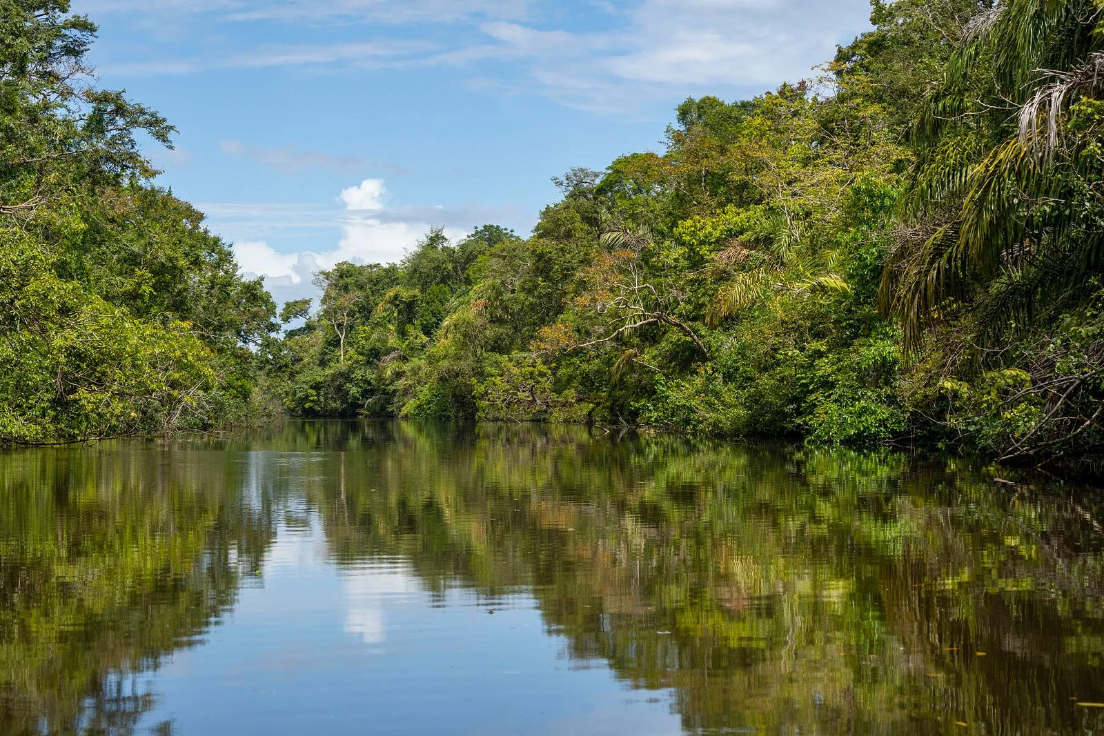 Caño Palma, Costa Rica