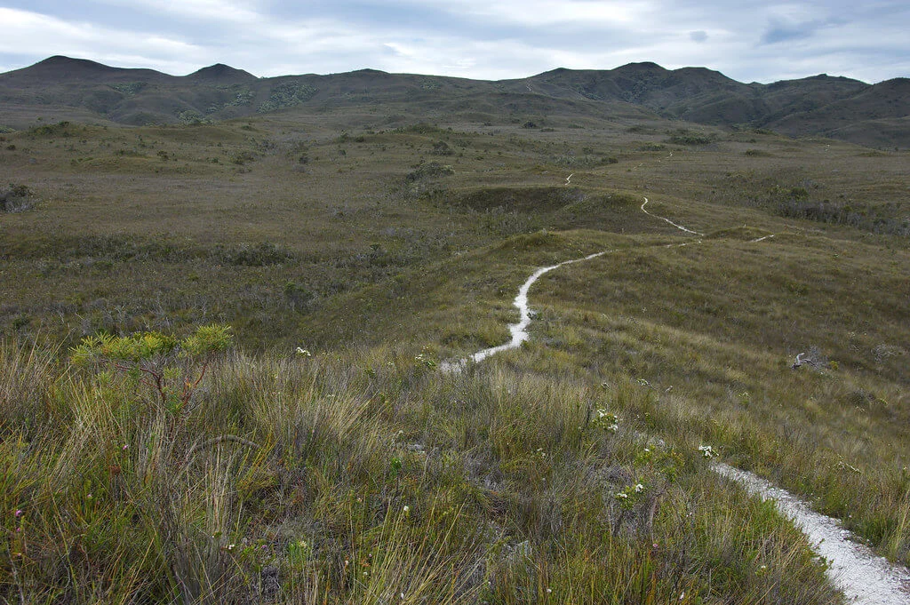 South Coast Track, Australie, Tasmanie