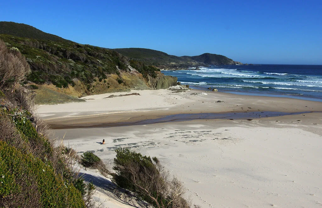 South Coast Track, Australie, Tasmanie