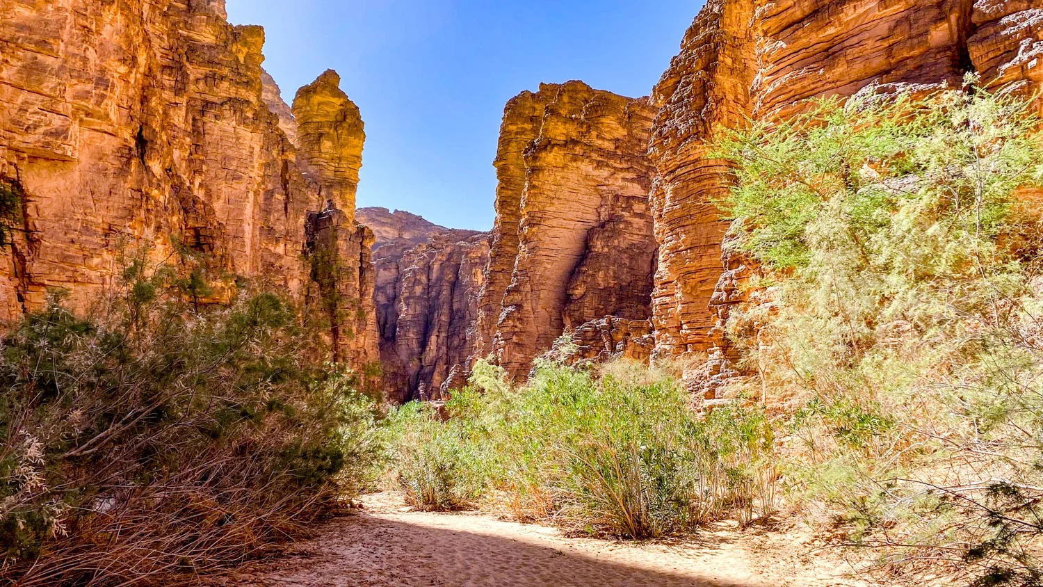 Essendilène, Algérie