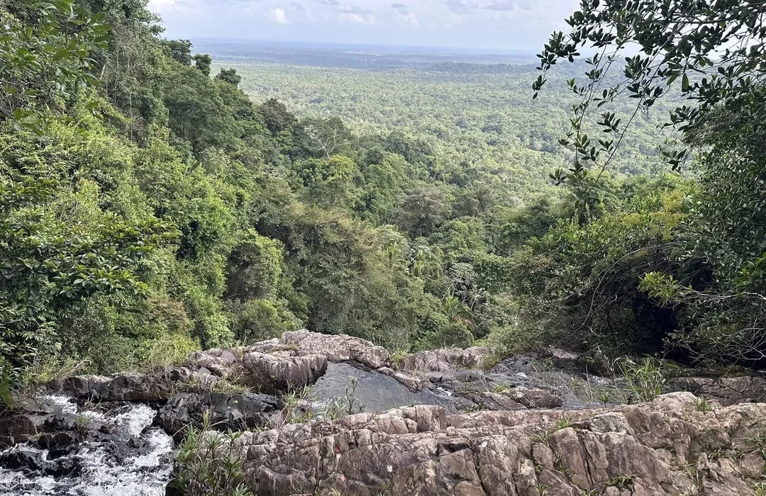 Mayflower Bocawina National Park, Belize