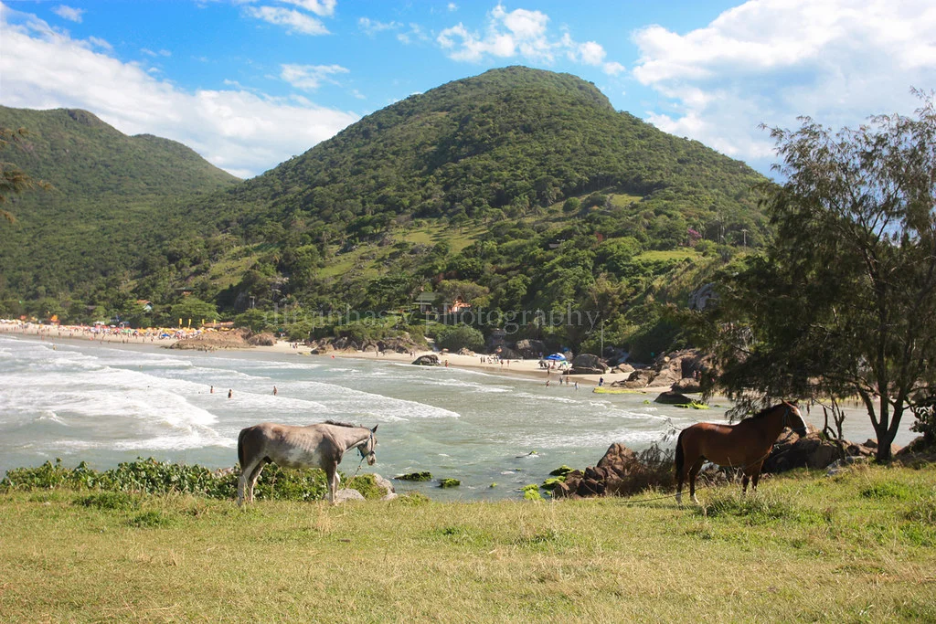 Praia Linda, Brésil