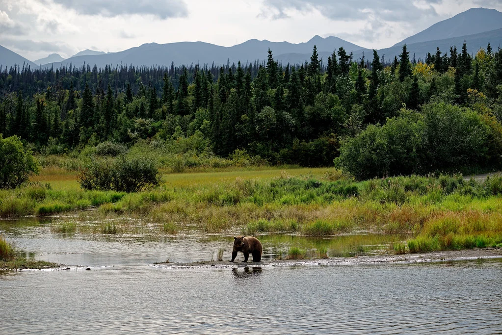 Mont Katmai, États-Unis