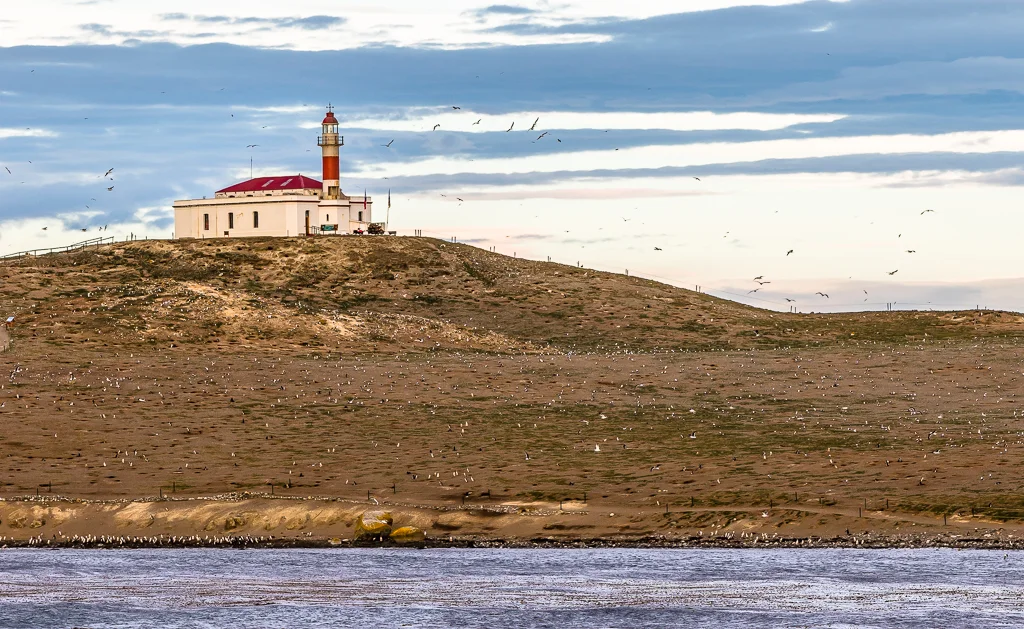 Île Magdalena (détroit de Magellan), Chili