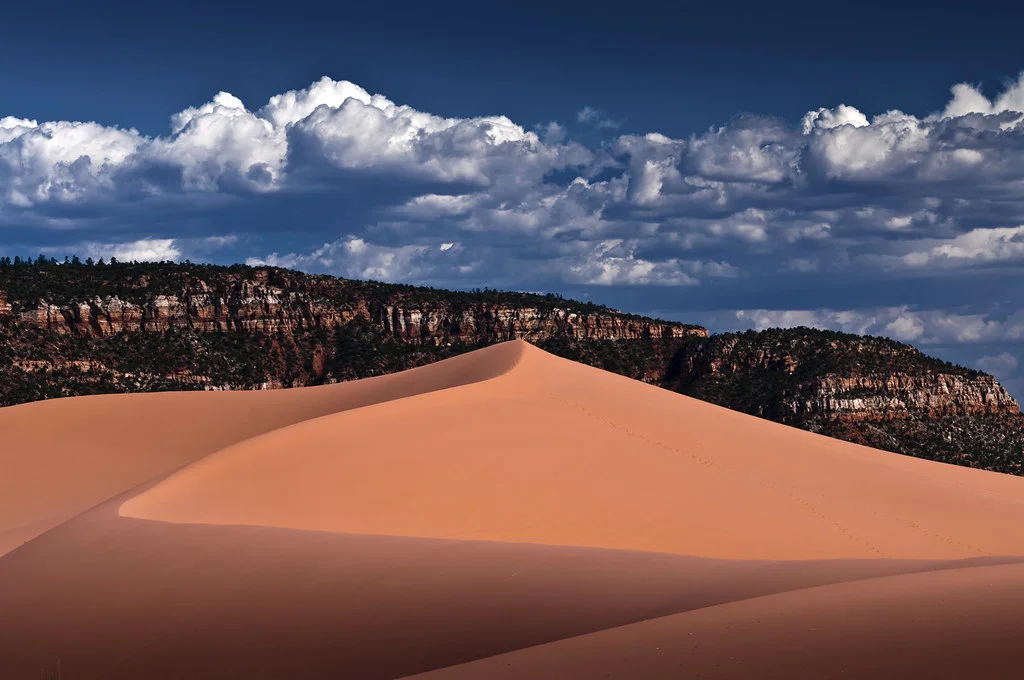 Parc d'État de Coral Pink Sand Dunes, États-Unis