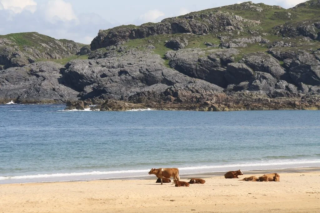 Colonsay, Écosse