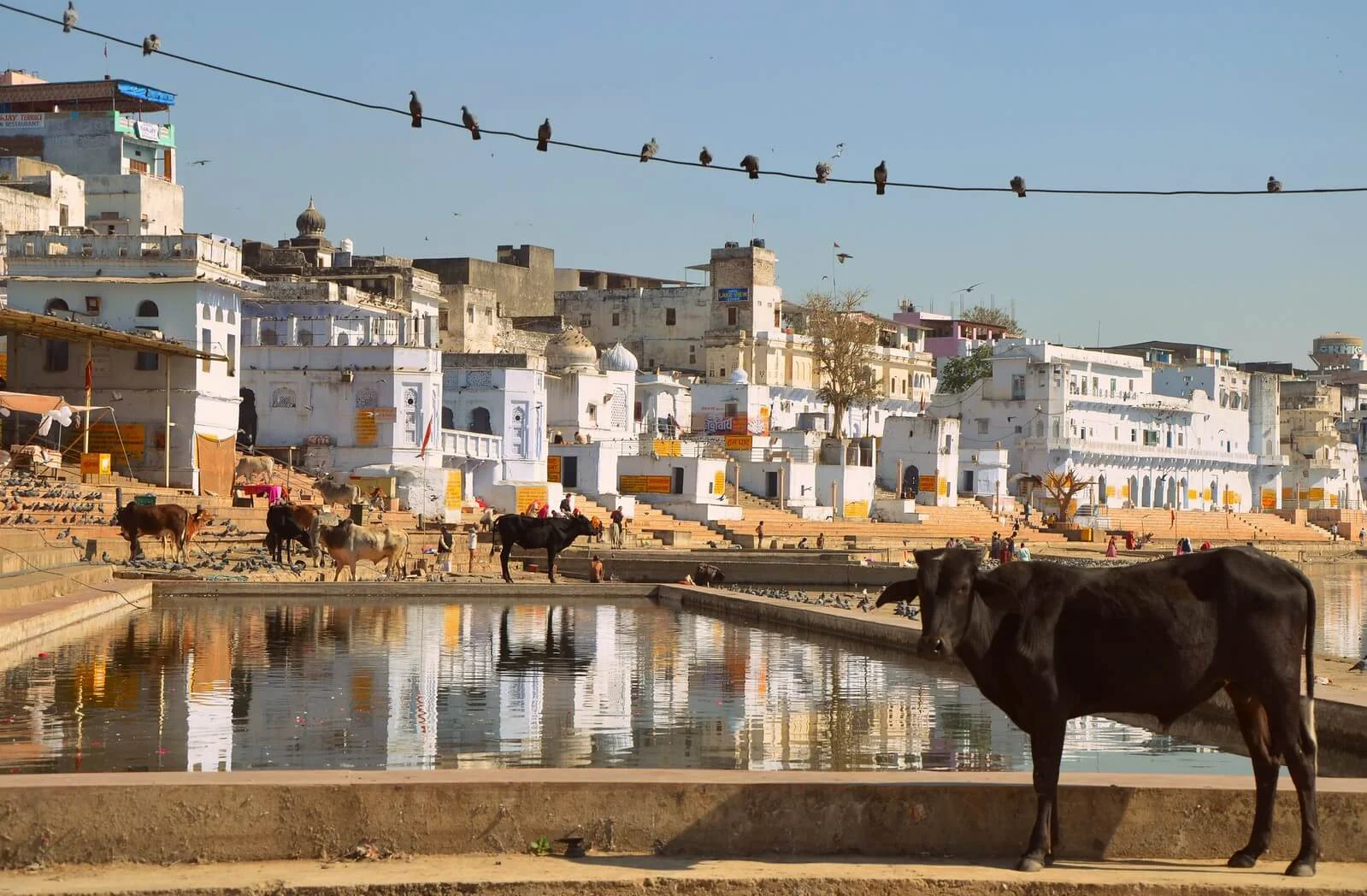 Pushkar, Inde
