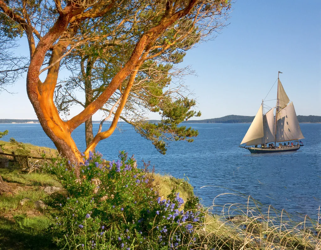 San Juan Island, États-Unis