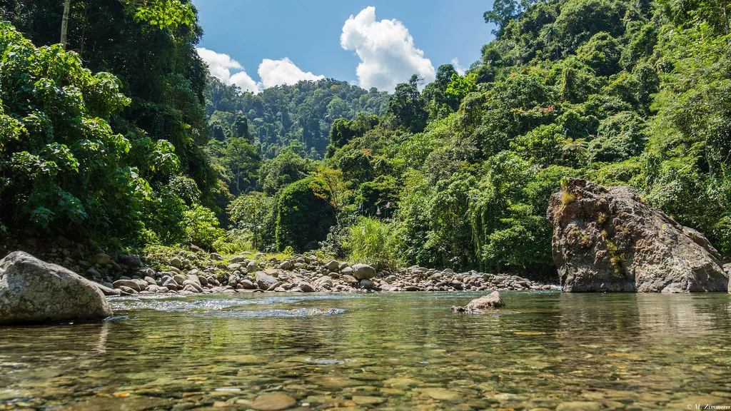 Parc national du Gunung Leuser, Indonésie, Indonésie