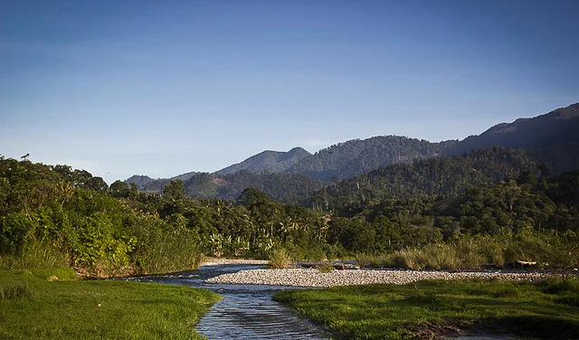Parc national du Gunung Leuser, Indonésie, Indonésie