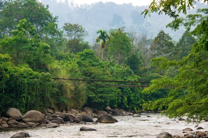 Parc national du Gunung Leuser, Indonésie, Indonésie