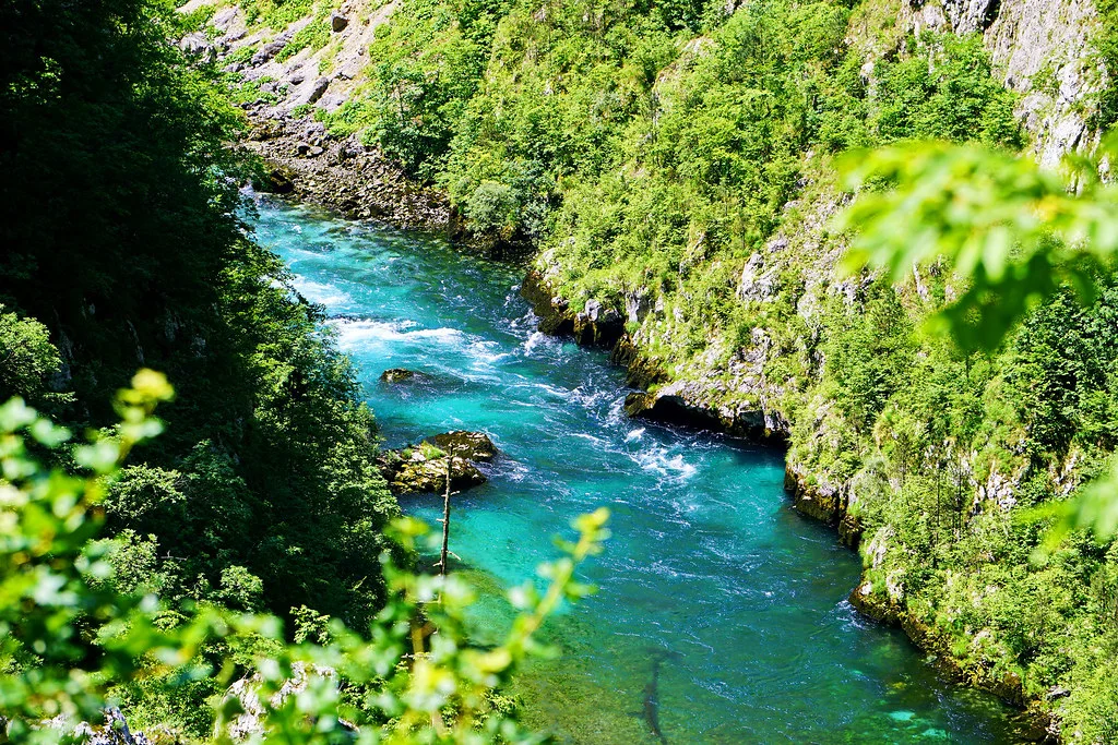 Tara, Monténégro, Serbie