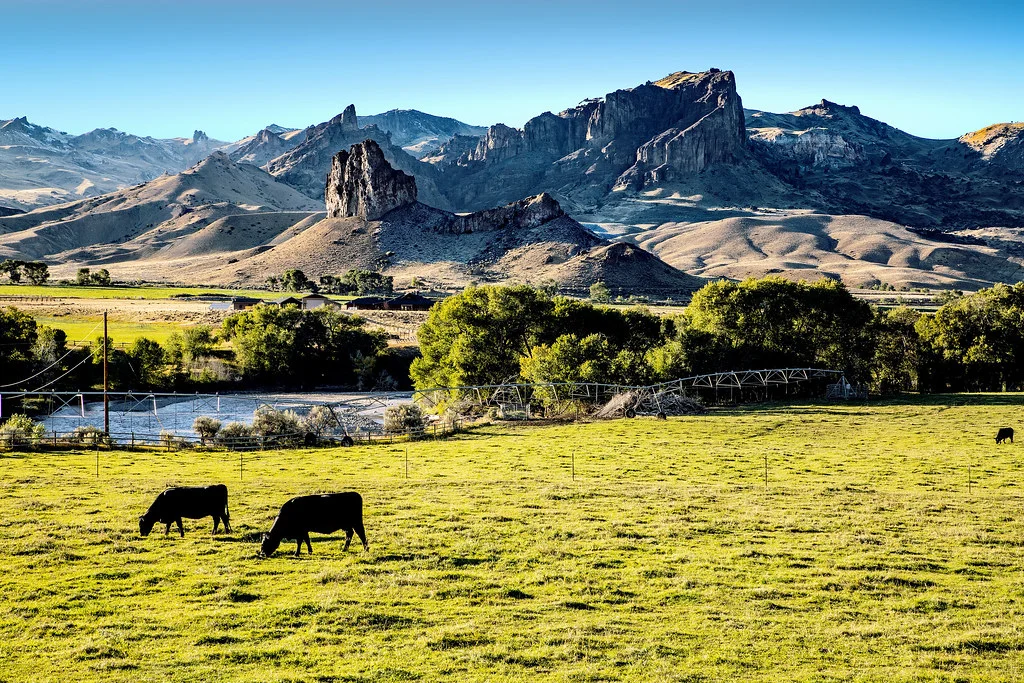Cody (Wyoming), États-Unis