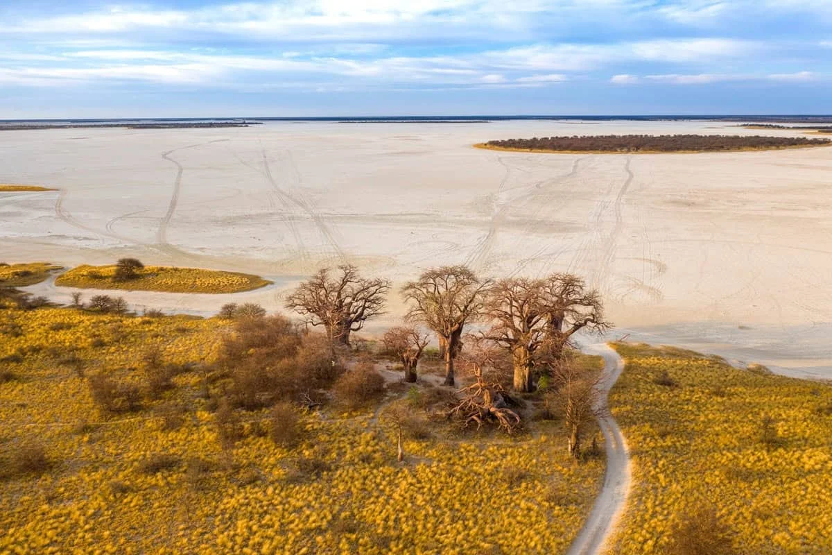 Parc national de Nxai Pan, Botswana