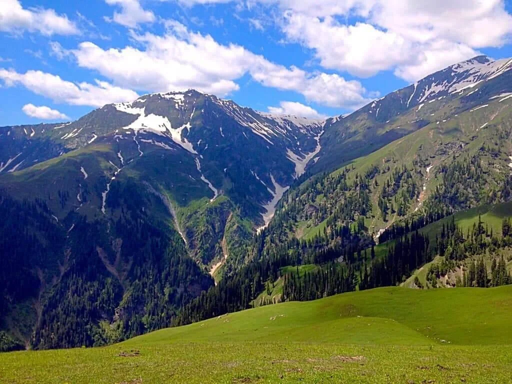 Dana Meadows, Pakistan