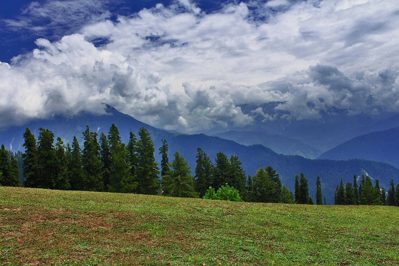Dana Meadows, Pakistan