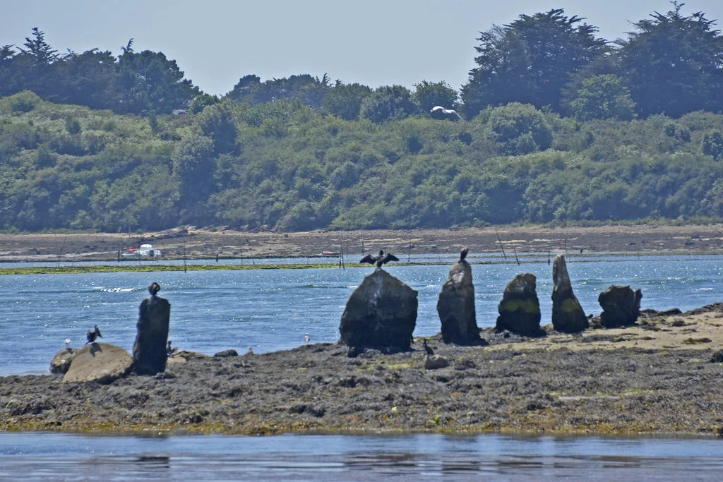 Île d'Er, France