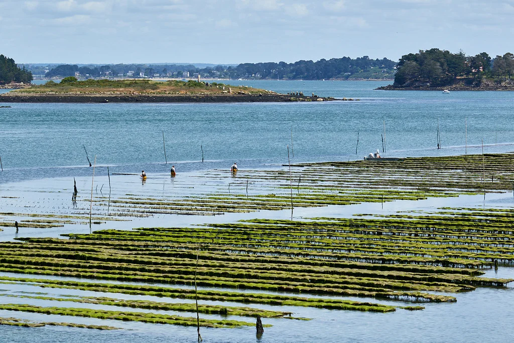 Île d'Er, France