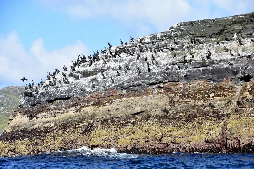 Pabbay (Barra), Écosse