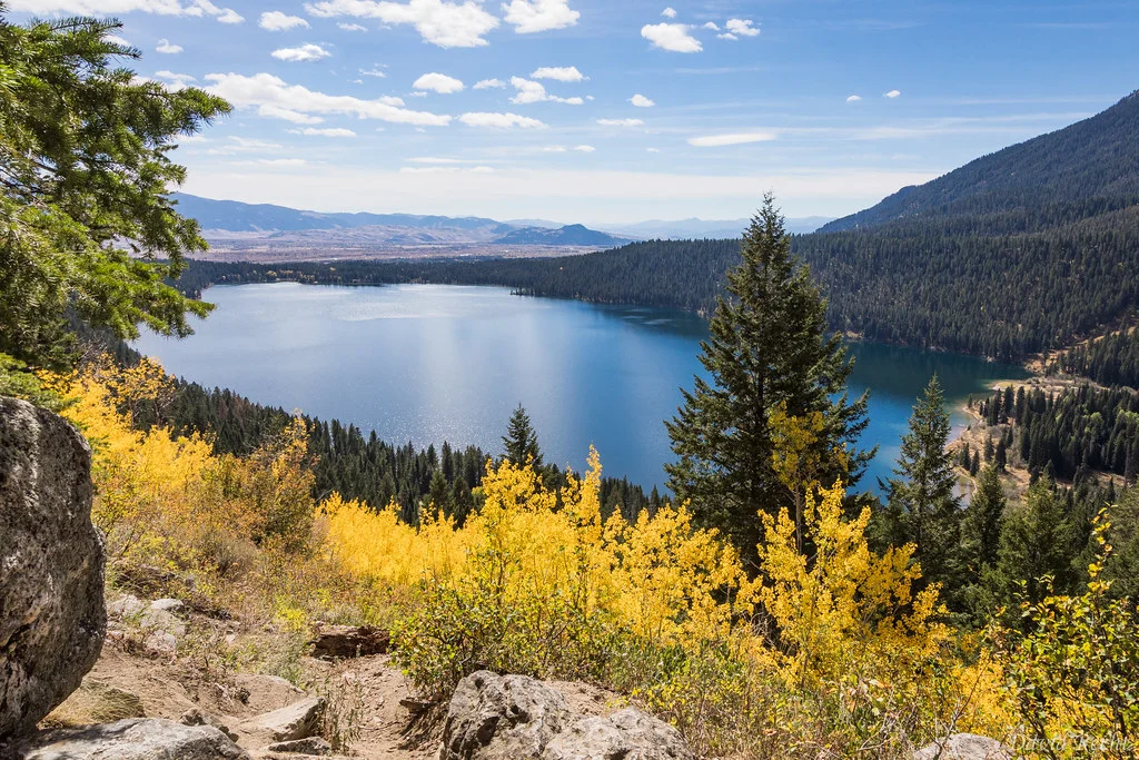 Phelps Lake, États-Unis