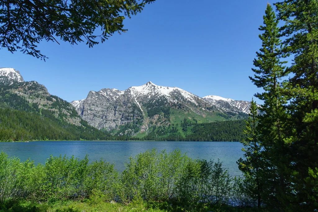 Phelps Lake, États-Unis