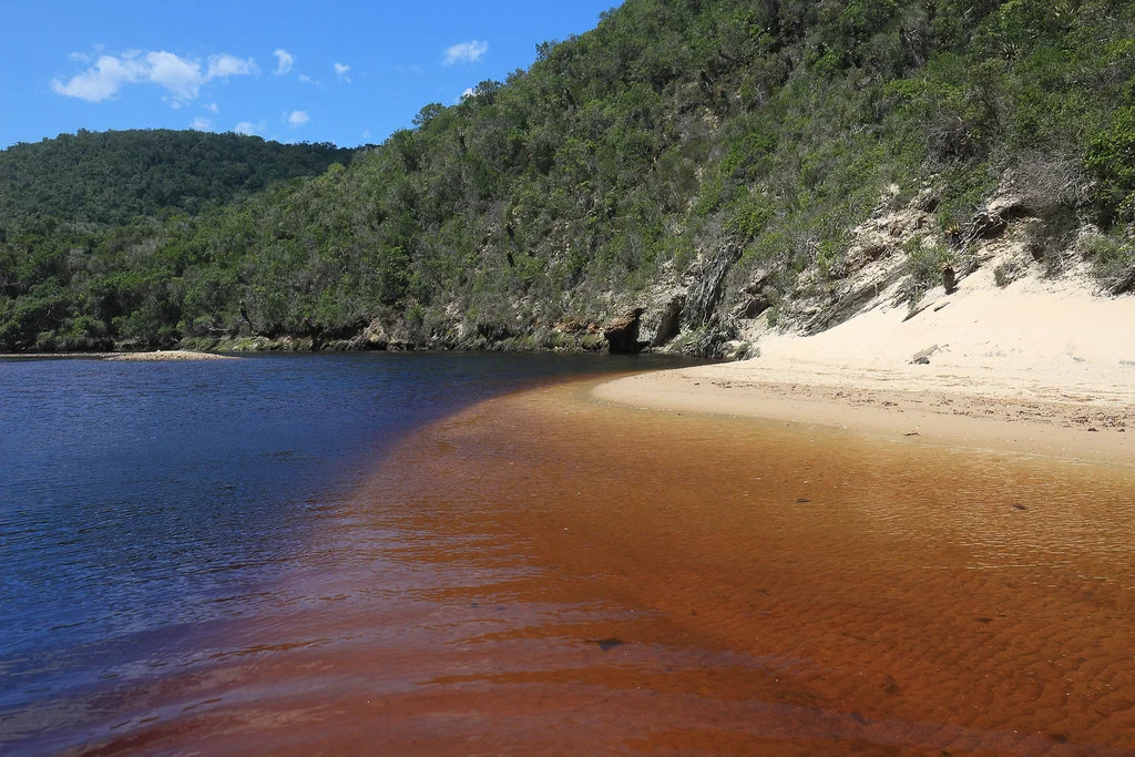 Salt River Hiking Trail, Afrique du Sud
