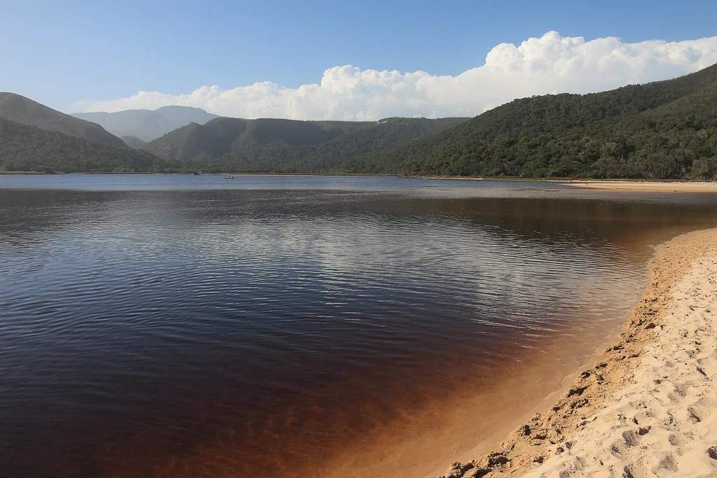 Salt River Hiking Trail, Afrique du Sud
