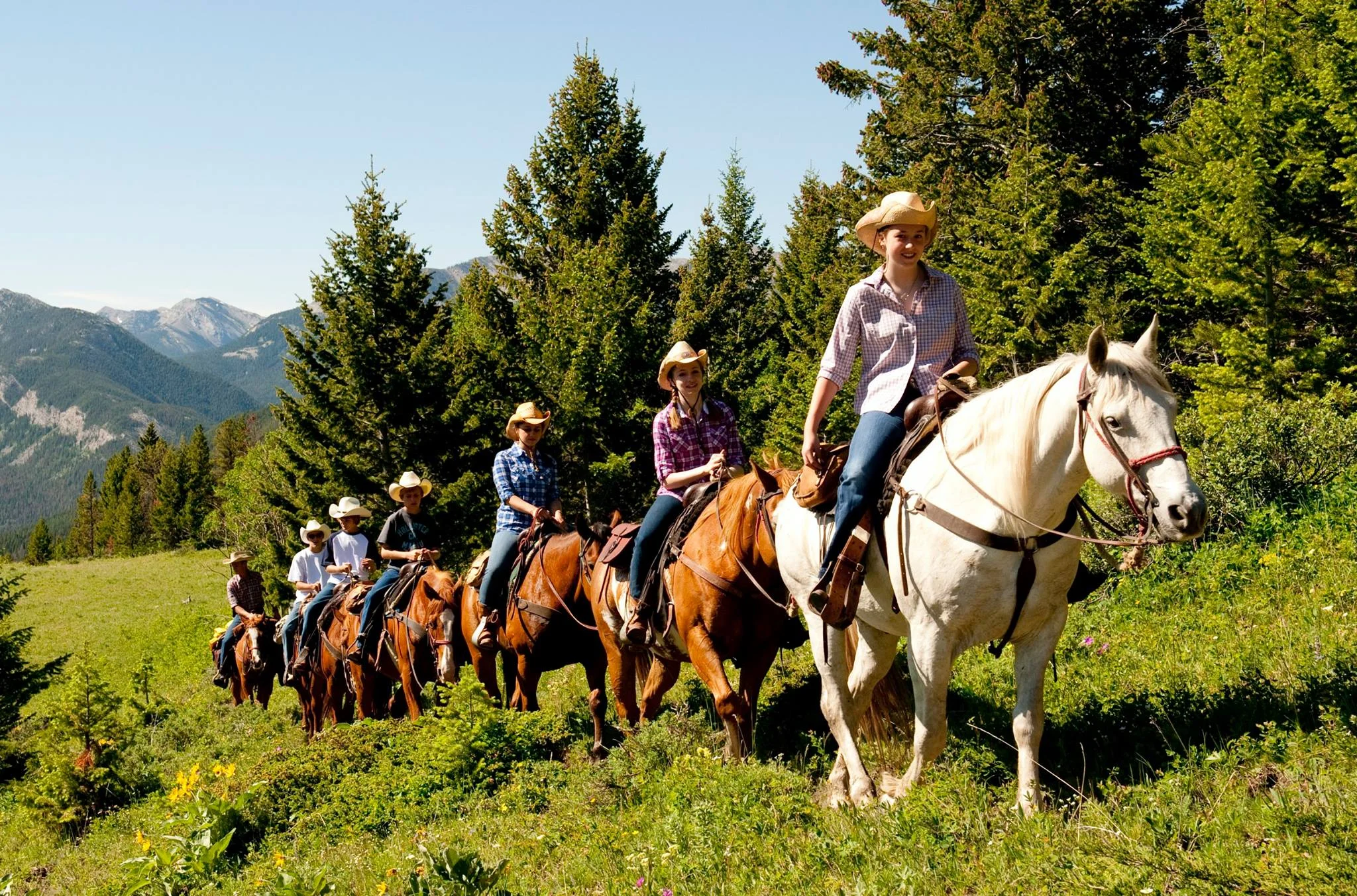 Triple J Ranch, États-Unis